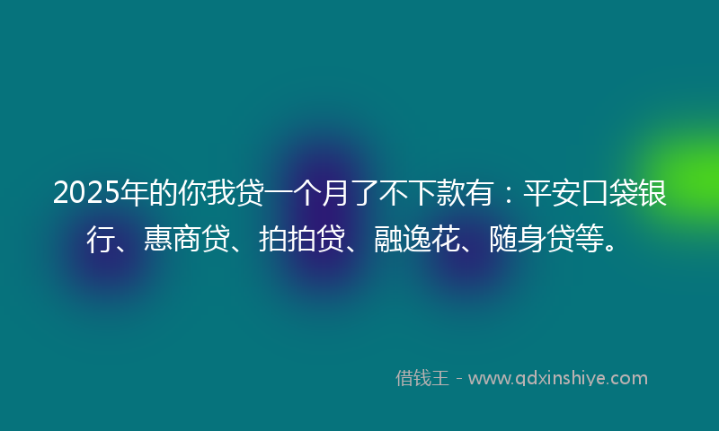 2025年的你我贷一个月了不下款有：平安口袋银行、惠商贷、拍拍贷、融逸花、随身贷等。