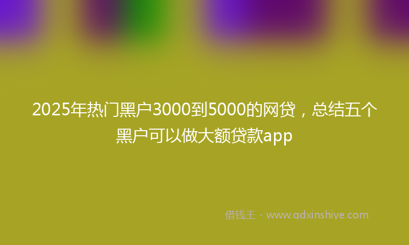 2025年热门黑户3000到5000的网贷，总结五个黑户可以做大额贷款app