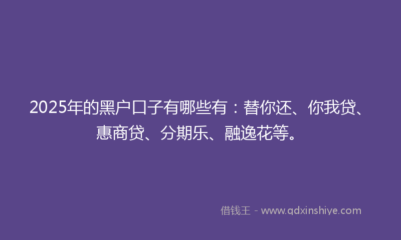 2025年的黑户口子有哪些有：替你还、你我贷、惠商贷、分期乐、融逸花等。