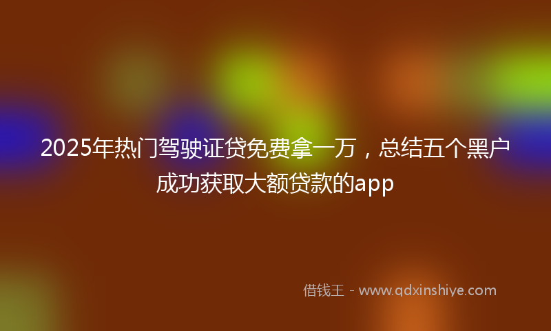 2025年热门驾驶证贷免费拿一万，总结五个黑户成功获取大额贷款的app