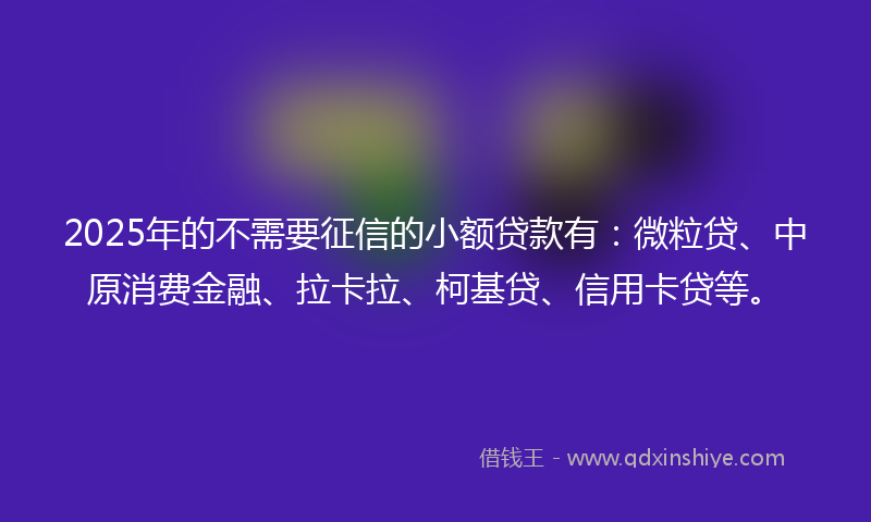 2025年的不需要征信的小额贷款有：微粒贷、中原消费金融、拉卡拉、柯基贷、信用卡贷等。