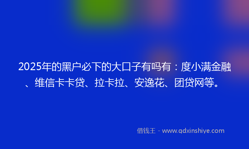 2025年的黑户必下的大口子有吗有：度小满金融、维信卡卡贷、拉卡拉、安逸花、团贷网等。