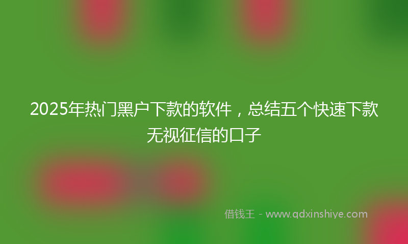 2025年热门黑户下款的软件，总结五个快速下款无视征信的口子