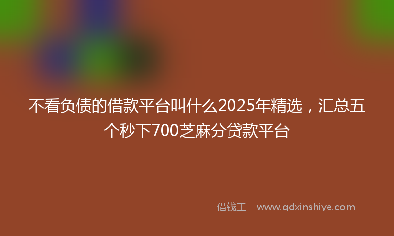 不看负债的借款平台叫什么2025年精选，汇总五个秒下700芝麻分贷款平台