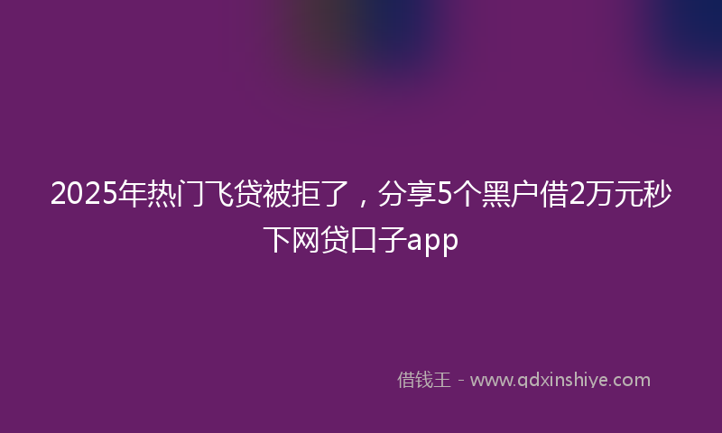 2025年热门飞贷被拒了，分享5个黑户借2万元秒下网贷口子app