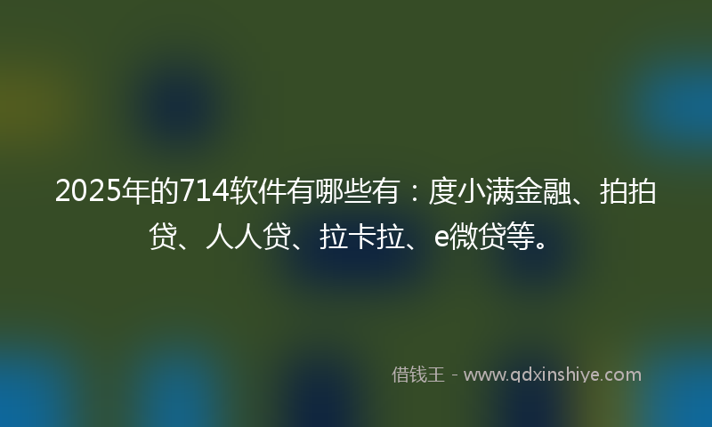 2025年的714软件有哪些有：度小满金融、拍拍贷、人人贷、拉卡拉、e微贷等。