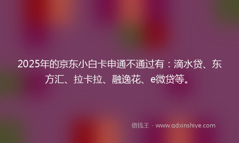 2025年的京东小白卡申通不通过有：滴水贷、东方汇、拉卡拉、融逸花、e微贷等。