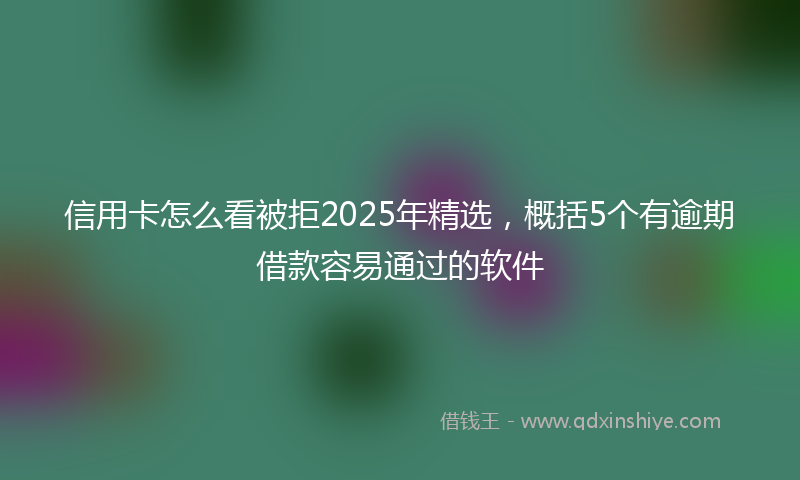 信用卡怎么看被拒2025年精选，概括5个有逾期借款容易通过的软件
