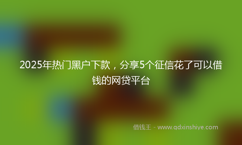 2025年热门黑户下款，分享5个征信花了可以借钱的网贷平台