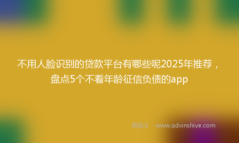 不用人脸识别的贷款平台有哪些呢2025年推荐，盘点5个不看年龄征信负债的app