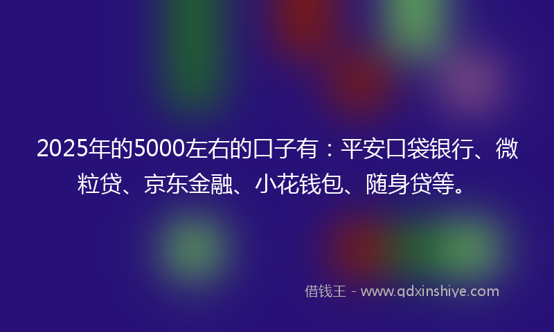 2025年的5000左右的口子有：平安口袋银行、微粒贷、京东金融、小花钱包、随身贷等。