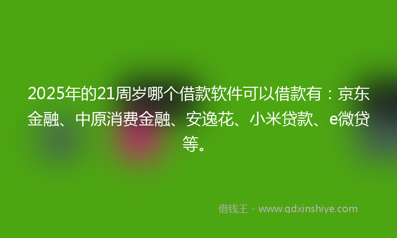2025年的21周岁哪个借款软件可以借款有：京东金融、中原消费金融、安逸花、小米贷款、e微贷等。