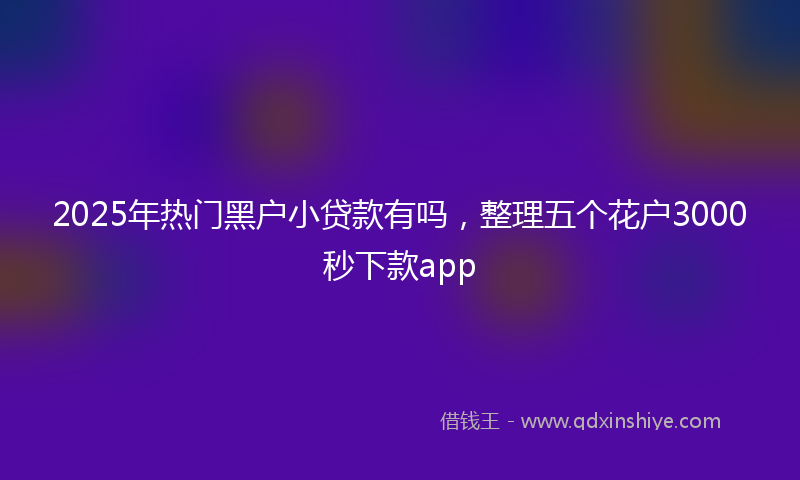 2025年热门黑户小贷款有吗，整理五个花户3000秒下款app