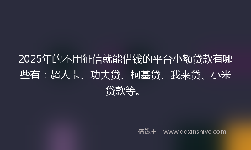 2025年的不用征信就能借钱的平台小额贷款有哪些有：超人卡、功夫贷、柯基贷、我来贷、小米贷款等。