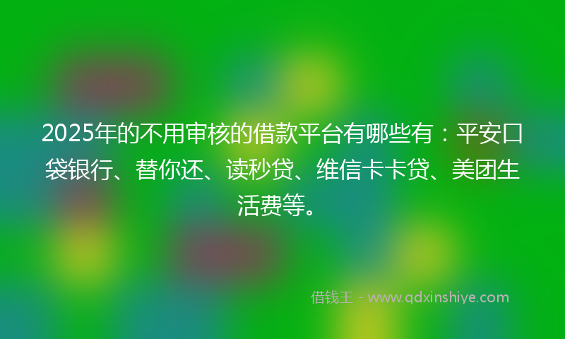 2025年的不用审核的借款平台有哪些有：平安口袋银行、替你还、读秒贷、维信卡卡贷、美团生活费等。