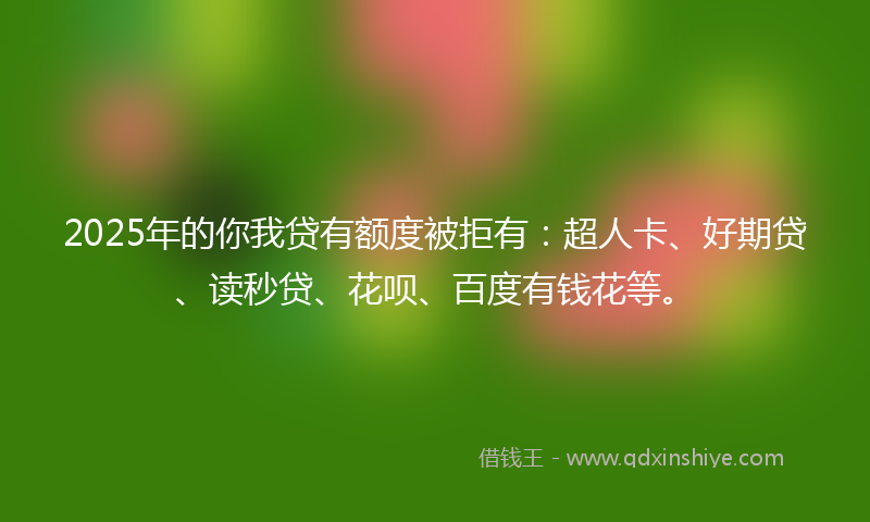 2025年的你我贷有额度被拒有：超人卡、好期贷、读秒贷、花呗、百度有钱花等。