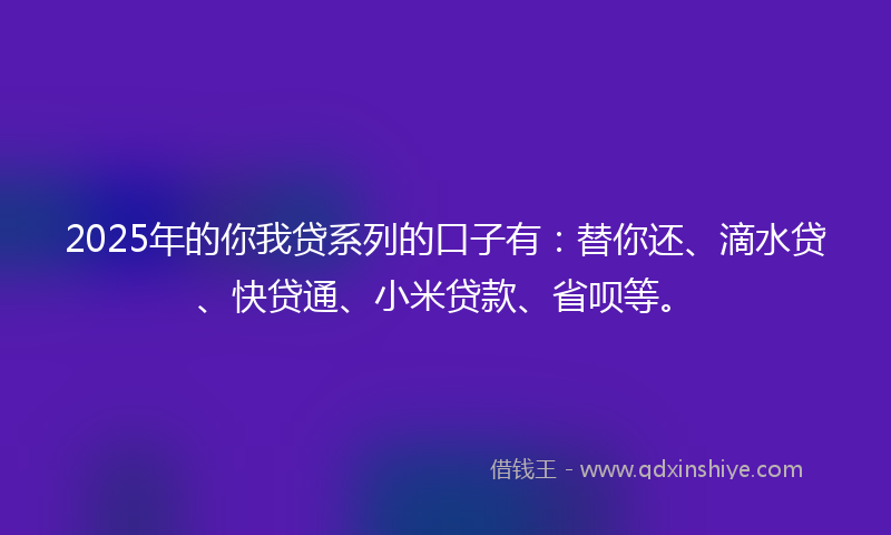 2025年的你我贷系列的口子有：替你还、滴水贷、快贷通、小米贷款、省呗等。