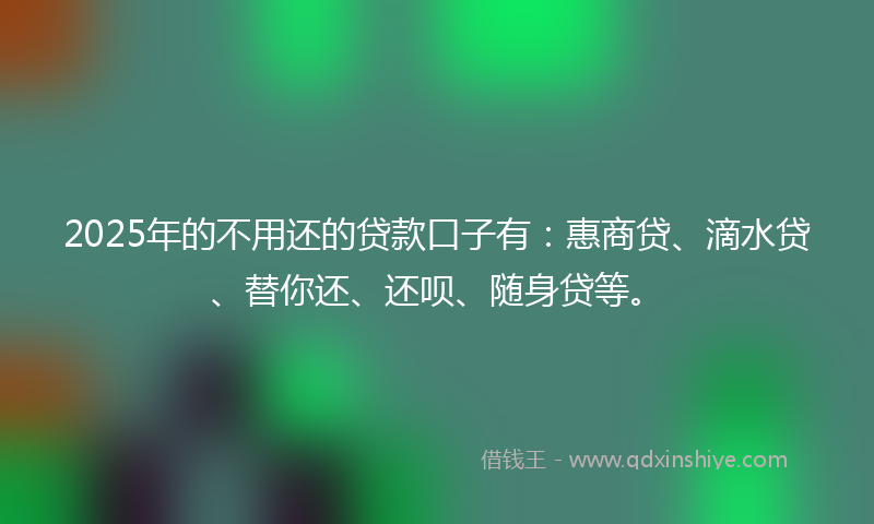 2025年的不用还的贷款口子有：惠商贷、滴水贷、替你还、还呗、随身贷等。