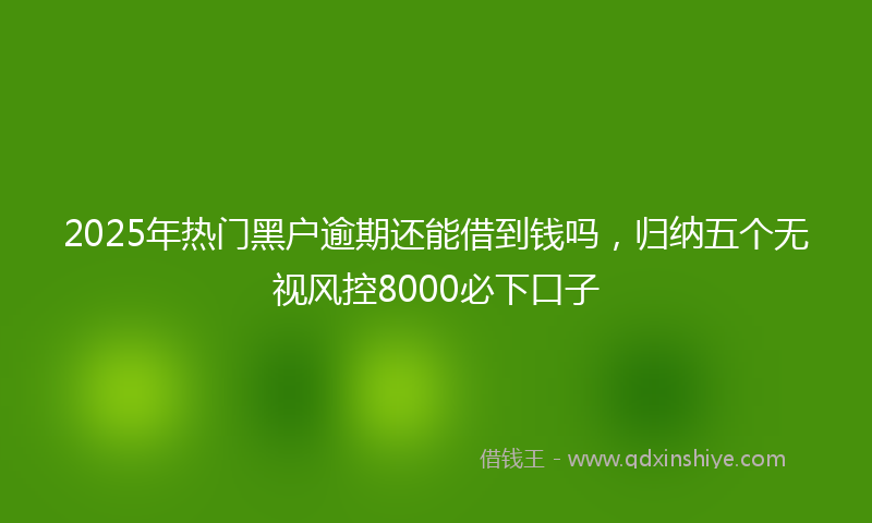 2025年热门黑户逾期还能借到钱吗，归纳五个无视风控8000必下口子