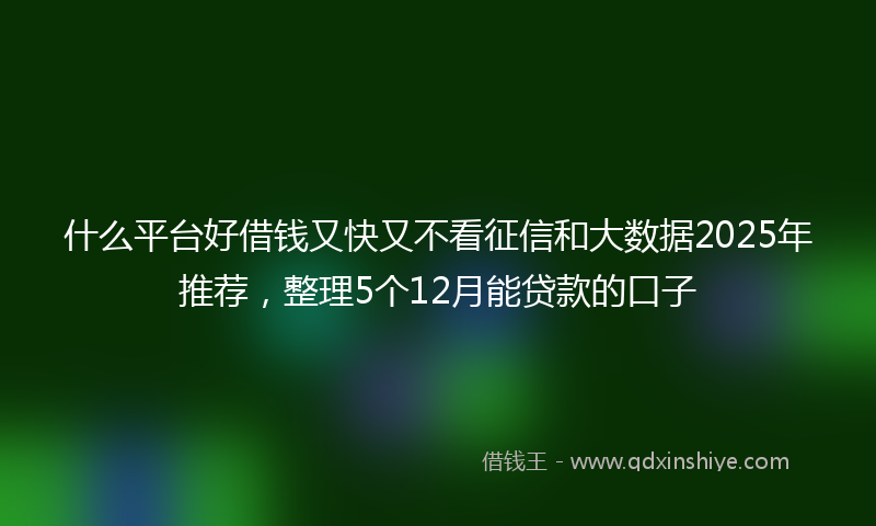 什么平台好借钱又快又不看征信和大数据2025年推荐，整理5个12月能贷款的口子
