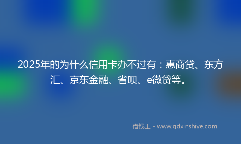 2025年的为什么信用卡办不过有：惠商贷、东方汇、京东金融、省呗、e微贷等。