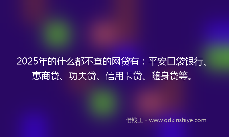 2025年的什么都不查的网贷有：平安口袋银行、惠商贷、功夫贷、信用卡贷、随身贷等。