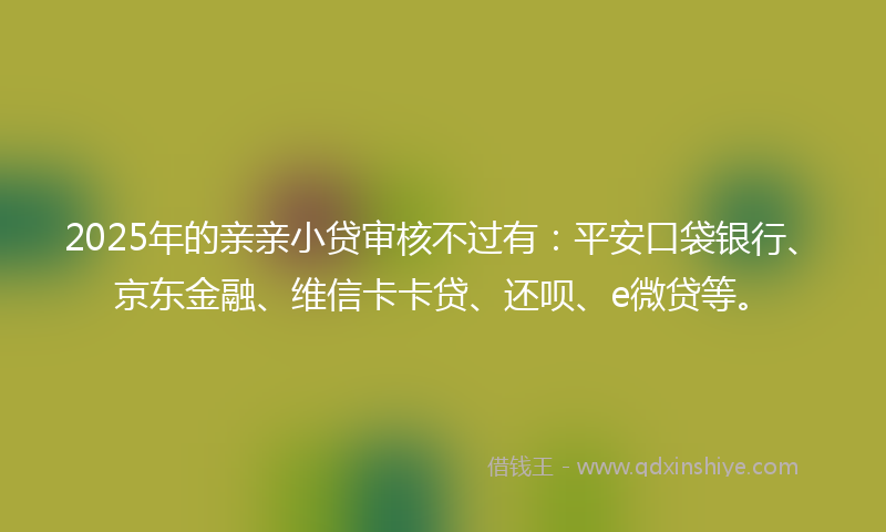 2025年的亲亲小贷审核不过有：平安口袋银行、京东金融、维信卡卡贷、还呗、e微贷等。