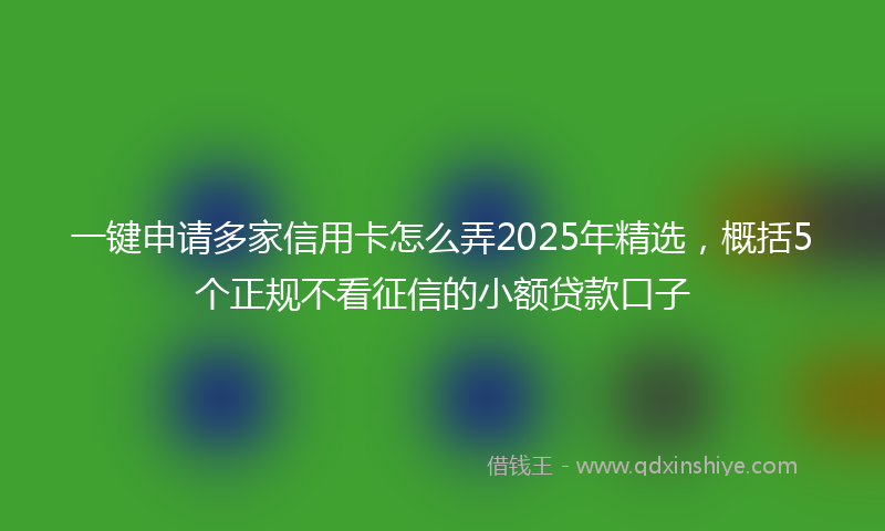 一键申请多家信用卡怎么弄2025年精选，概括5个正规不看征信的小额贷款口子