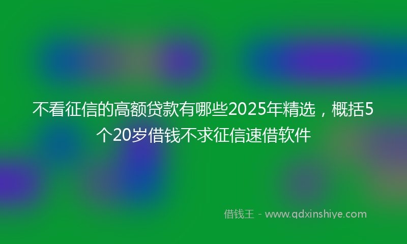 不看征信的高额贷款有哪些2025年精选，概括5个20岁借钱不求征信速借软件