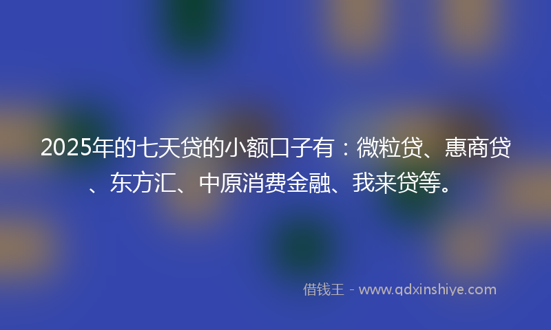 2025年的七天贷的小额口子有：微粒贷、惠商贷、东方汇、中原消费金融、我来贷等。