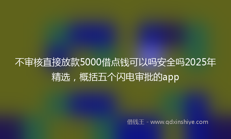 不审核直接放款5000借点钱可以吗安全吗2025年精选，概括五个闪电审批的app