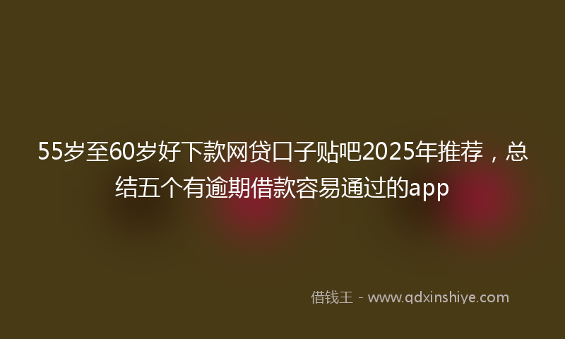 55岁至60岁好下款网贷口子贴吧2025年推荐，总结五个有逾期借款容易通过的app