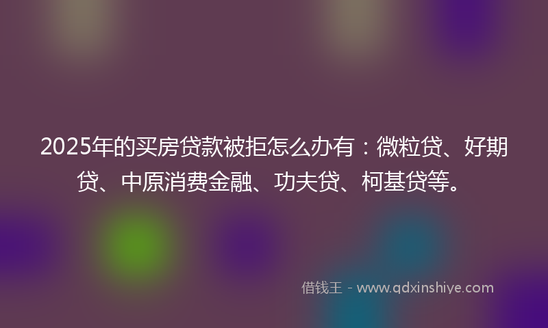 2025年的买房贷款被拒怎么办有：微粒贷、好期贷、中原消费金融、功夫贷、柯基贷等。
