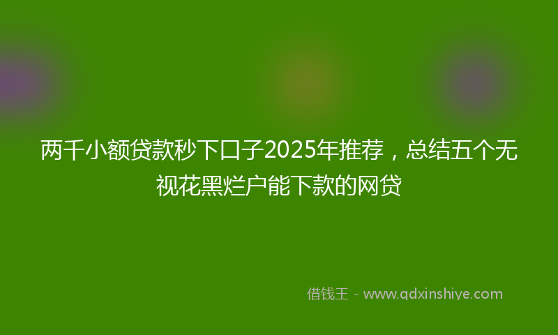 两千小额贷款秒下口子2025年推荐，总结五个无视花黑烂户能下款的网贷