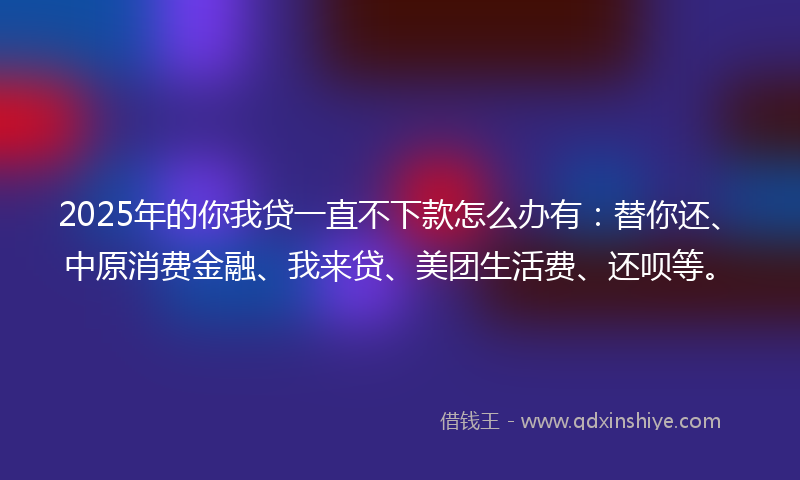 2025年的你我贷一直不下款怎么办有：替你还、中原消费金融、我来贷、美团生活费、还呗等。