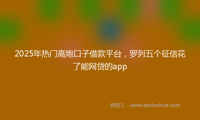 2025年热门高炮口子借款平台，罗列五个征信花了能网贷的app