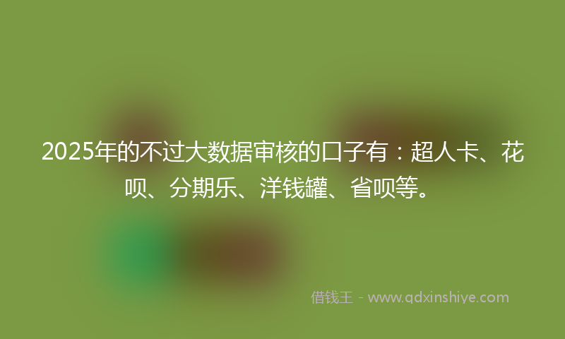 2025年的不过大数据审核的口子有：超人卡、花呗、分期乐、洋钱罐、省呗等。