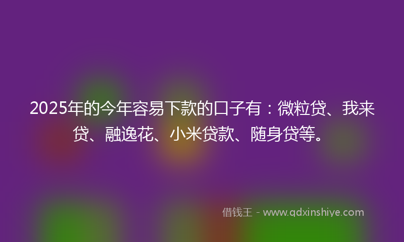 2025年的今年容易下款的口子有：微粒贷、我来贷、融逸花、小米贷款、随身贷等。
