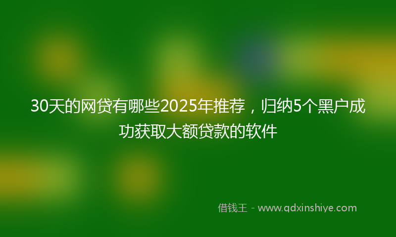 30天的网贷有哪些2025年推荐，归纳5个黑户成功获取大额贷款的软件