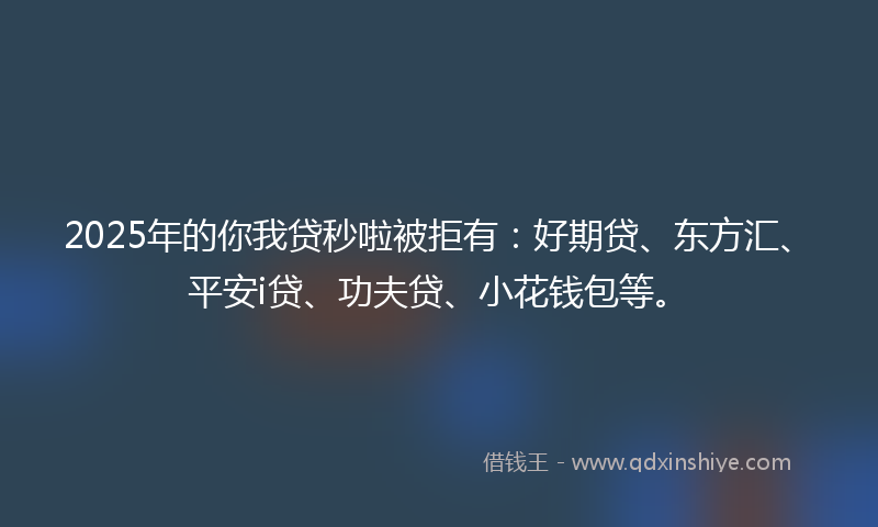 2025年的你我贷秒啦被拒有：好期贷、东方汇、平安i贷、功夫贷、小花钱包等。
