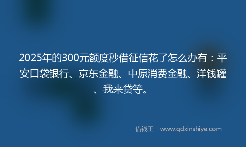 2025年的300元额度秒借征信花了怎么办有：平安口袋银行、京东金融、中原消费金融、洋钱罐、我来贷等。