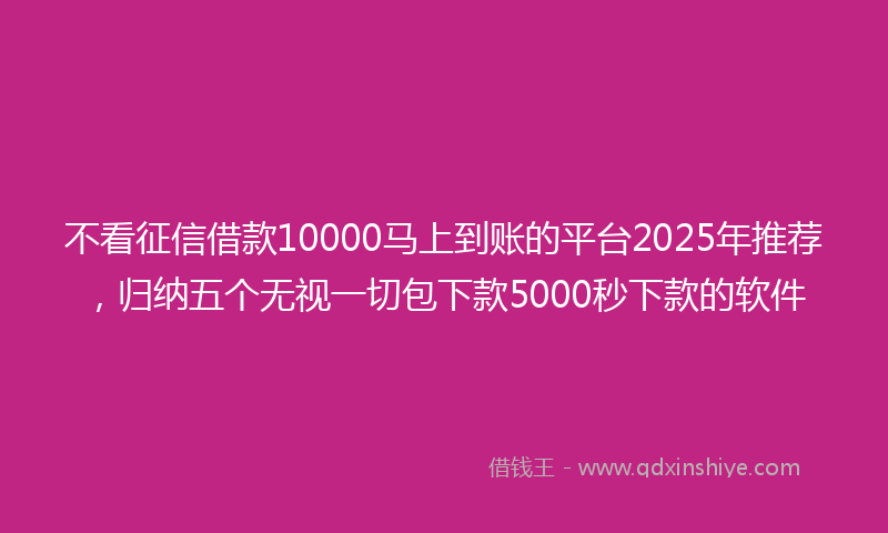 不看征信借款10000马上到账的平台2025年推荐，归纳五个无视一切包下款5000秒下款的软件