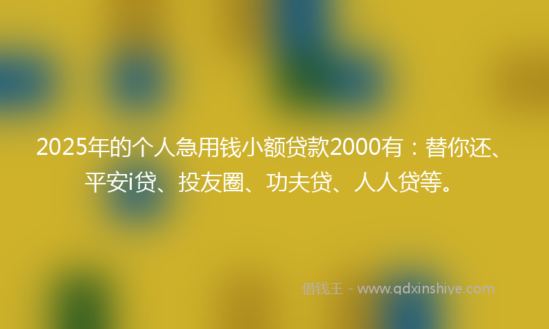 2025年的个人急用钱小额贷款2000有：替你还、平安i贷、投友圈、功夫贷、人人贷等。