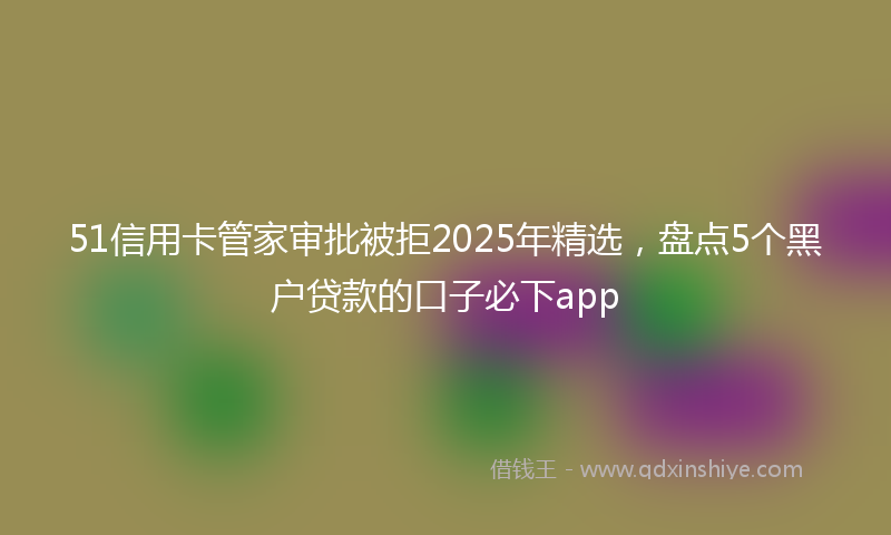 51信用卡管家审批被拒2025年精选，盘点5个黑户贷款的口子必下app