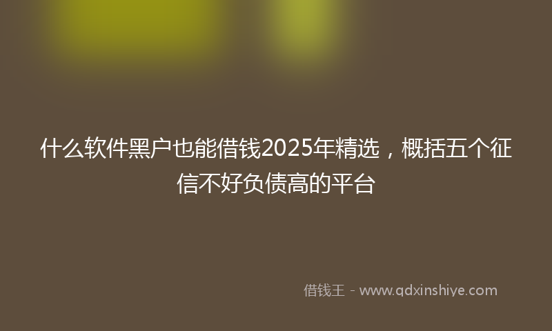 什么软件黑户也能借钱2025年精选，概括五个征信不好负债高的平台