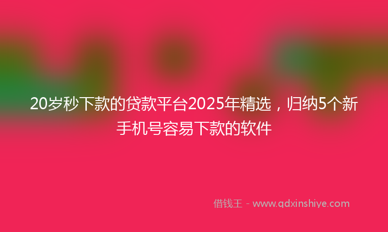 20岁秒下款的贷款平台2025年精选，归纳5个新手机号容易下款的软件