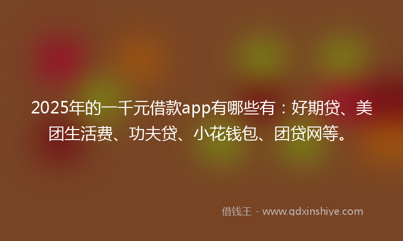 2025年的一千元借款app有哪些有：好期贷、美团生活费、功夫贷、小花钱包、团贷网等。