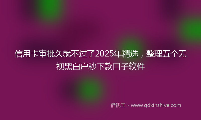 信用卡审批久就不过了2025年精选，整理五个无视黑白户秒下款口子软件