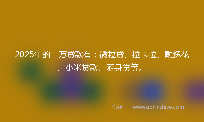 2025年的一万贷款有：微粒贷、拉卡拉、融逸花、小米贷款、随身贷等。
