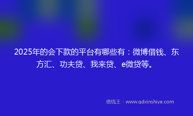 2025年的会下款的平台有哪些有：微博借钱、东方汇、功夫贷、我来贷、e微贷等。